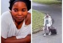 Mošomi wa ka gae wa Mozambique o nyametše   le dithoto tša bohlokwa tša mongmošomo wa gagwe tša boleng bja R100,000 