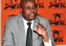 Presidente Ramaphosa o fegile Molaodi wa Botšhotšhisi bja Setšhaba wa South Gauteng