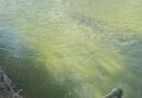 Meetse a noka ya Limpopo River ga a na kotsi