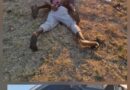 Moagi wa Zimbabwe le moAfrika Borwa ba swerwe ka lebaka la go sepetša disekerete tšeo di sego molaong 
