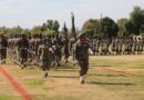 Mašole a mahlano le bafaladi ba Zimbabwe ba golegilwe morago ga go hwetšwa ba swere mafola ao a sego molaong