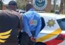MOHLANKEDI YO MOGOLO MMASEPALENG WA MARULENG O SWERWE KA MOLATO WA BOMENETŠEA
